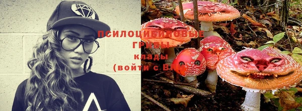 apvp Уссурийск