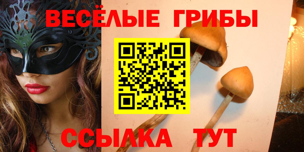 закладки  Галлюциногенные грибы ЛСД  Вход с VPN  Ахтубинск 